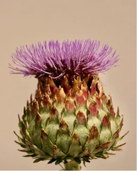 pic-55.jpg
